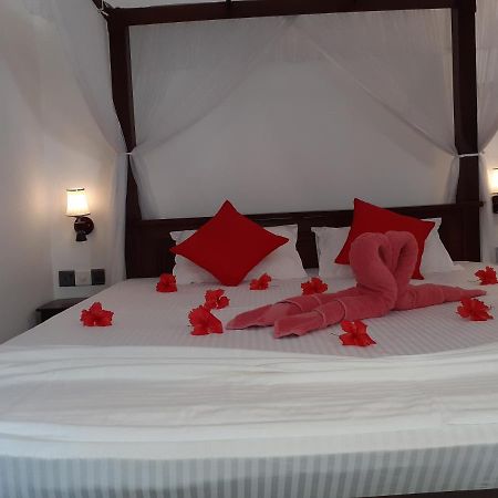 Turtle Reef Guest Bed and Breakfast Mirissa Exteriör bild