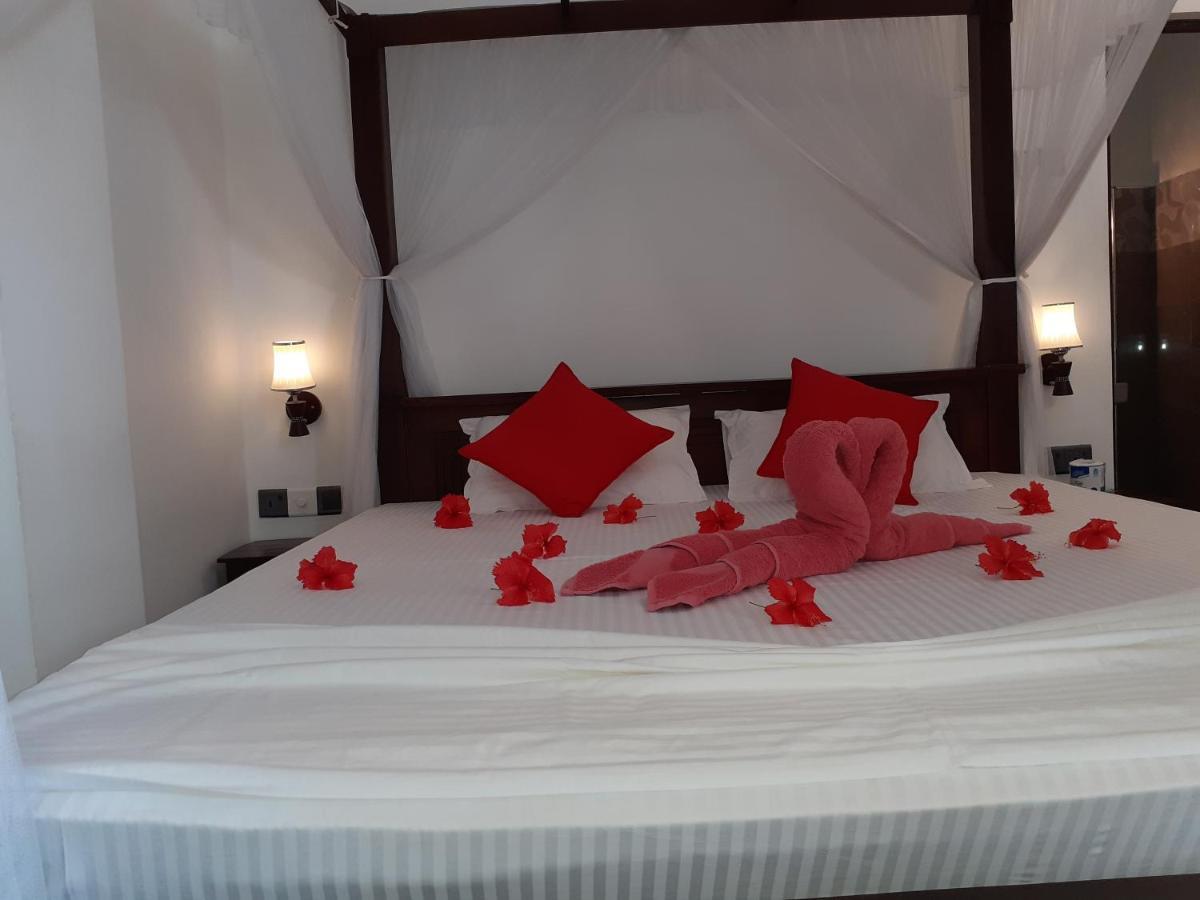 Turtle Reef Guest Bed and Breakfast Mirissa Exteriör bild